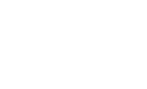 PIM GmbH
